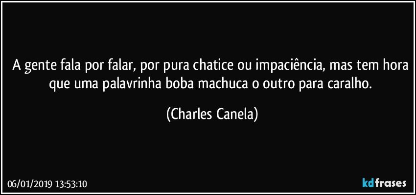 A gente fala por falar, por pura chatice ou impaciência, mas tem hora que uma palavrinha boba machuca o outro para caralho. (Charles Canela)