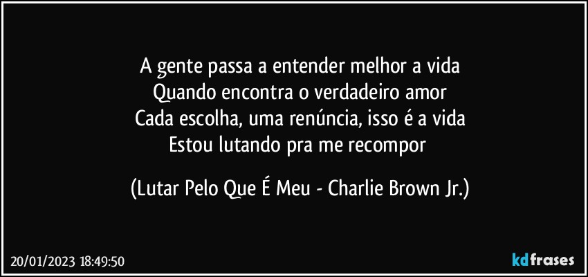 A gente passa a entender melhor a vida
Quando encontra o verdadeiro amor
Cada escolha, uma renúncia, isso é a vida
Estou lutando pra me recompor (Lutar Pelo Que É Meu - Charlie Brown Jr.)