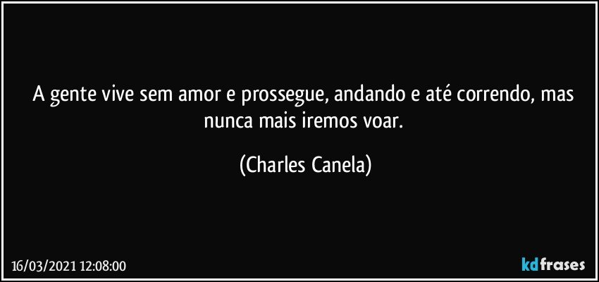 A gente vive sem amor e prossegue, andando e até correndo, mas nunca mais iremos voar. (Charles Canela)