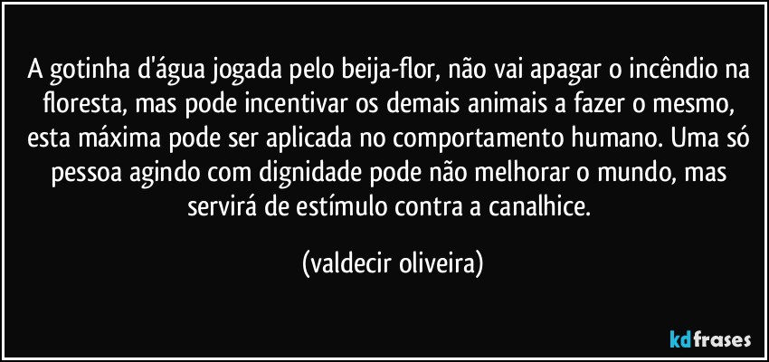 A gotinha d'água jogada pelo beija-flor, não vai apagar o incêndio na floresta, mas pode incentivar os demais animais a fazer o mesmo, esta máxima pode ser aplicada no comportamento humano. Uma só pessoa agindo com dignidade pode não melhorar o mundo, mas servirá de estímulo contra a canalhice. (valdecir oliveira)