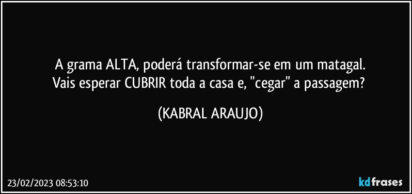 A grama ALTA, poderá transformar-se em um matagal.
Vais esperar CUBRIR toda a casa e, "cegar" a passagem? (KABRAL ARAUJO)