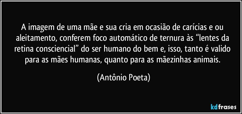 A imagem de uma mãe e sua cria em ocasião de carícias e/ou aleitamento, conferem foco automático de ternura às “lentes da retina consciencial” do ser humano do bem e, isso, tanto é valido para as mães humanas, quanto para as mãezinhas animais. (Antônio Poeta)