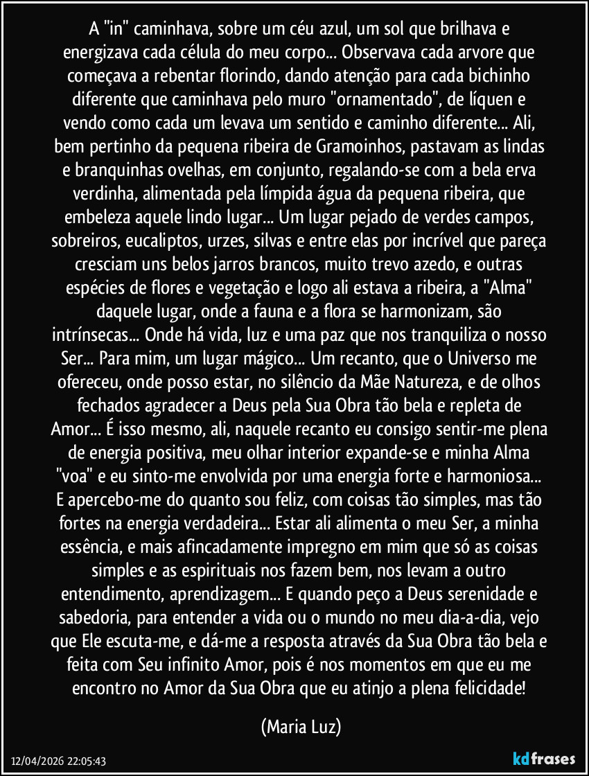 A "in" caminhava, sobre um céu azul, um sol que brilhava e energizava cada célula do meu corpo... Observava cada arvore que começava a rebentar florindo, dando atenção para cada bichinho diferente que caminhava pelo muro "ornamentado", de líquen e vendo como cada um levava um sentido e caminho diferente... Ali, bem pertinho da pequena ribeira de Gramoinhos, pastavam as lindas e branquinhas ovelhas, em conjunto, regalando-se com a bela erva verdinha, alimentada pela límpida água da pequena ribeira, que embeleza aquele lindo lugar... Um lugar pejado de verdes campos, sobreiros, eucaliptos, urzes, silvas e entre elas por incrível que pareça cresciam uns belos jarros brancos, muito trevo azedo, e outras espécies de flores e vegetação e logo ali estava a ribeira, a "Alma" daquele lugar, onde a fauna e a flora se harmonizam, são intrínsecas... Onde há vida, luz e uma paz que nos tranquiliza o nosso Ser... Para mim, um lugar mágico... Um recanto, que o Universo me ofereceu, onde posso estar, no silêncio da Mãe Natureza, e de olhos fechados agradecer a Deus pela Sua Obra tão bela e repleta de Amor... É isso mesmo, ali, naquele recanto eu consigo sentir-me plena de energia positiva, meu olhar interior expande-se e minha Alma "voa" e eu sinto-me envolvida por uma energia forte e harmoniosa... E apercebo-me do quanto sou feliz, com coisas tão simples, mas tão fortes na energia verdadeira... Estar ali alimenta o meu Ser, a minha essência, e mais afincadamente impregno em mim que só as coisas simples e as espirituais nos fazem bem, nos levam a outro entendimento, aprendizagem... E quando peço a Deus serenidade e sabedoria, para entender a vida ou o mundo no meu dia-a-dia, vejo que Ele escuta-me, e dá-me a resposta através da Sua Obra tão bela e feita com Seu infinito Amor, pois é nos momentos em que eu me encontro no Amor da Sua Obra que eu atinjo a plena felicidade! (Maria Luz)