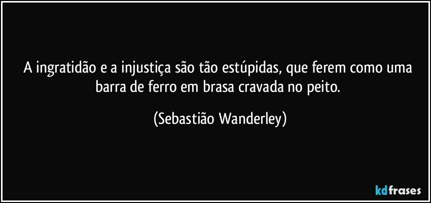 A ingratidão e a injustiça são tão estúpidas, que ferem como uma barra de ferro em brasa cravada no peito. (Sebastião Wanderley)