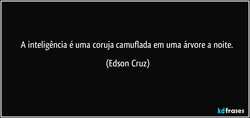 A inteligência é uma coruja camuflada em uma árvore a noite. (Edson Cruz)