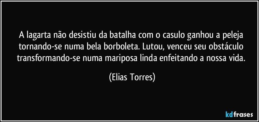 A lagarta não desistiu da batalha com o casulo ganhou a peleja tornando-se numa bela borboleta. Lutou, venceu seu obstáculo transformando-se numa mariposa linda enfeitando a nossa vida. (Elias Torres)