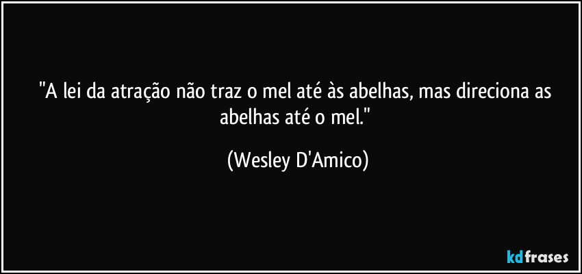 "A lei da atração não traz o mel até às abelhas, mas direciona as abelhas até o mel." (Wesley D'Amico)