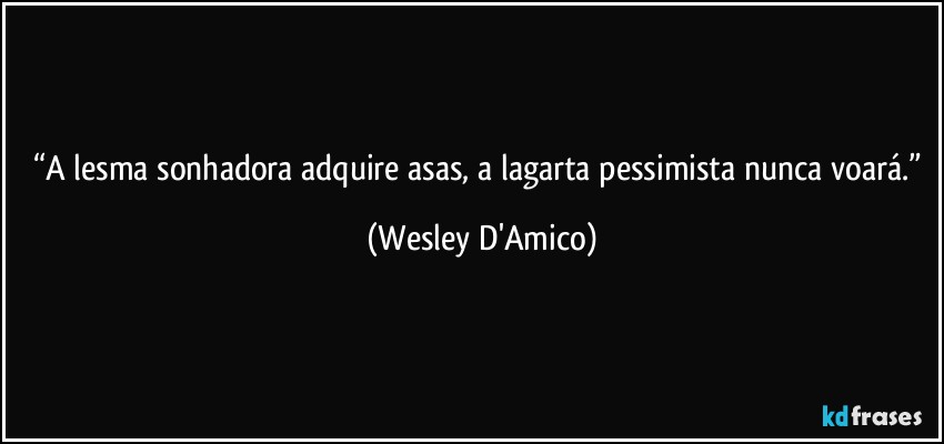 “A lesma sonhadora adquire asas, a lagarta pessimista nunca voará.” (Wesley D'Amico)