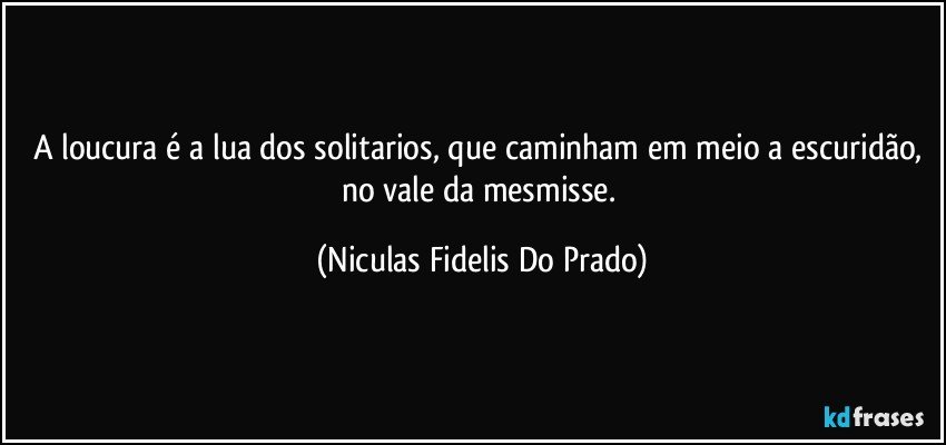 A loucura é a lua dos solitarios, que caminham em meio a escuridão, no vale da mesmisse. (Niculas Fidelis Do Prado)