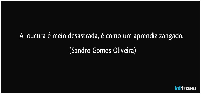A loucura é meio desastrada, é como um aprendiz zangado. (Sandro Gomes Oliveira)