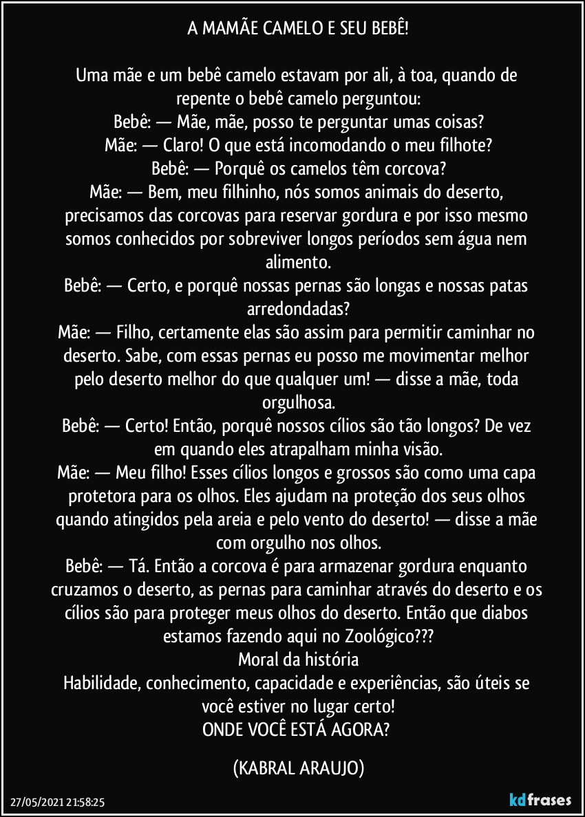 A MAMÃE CAMELO E SEU BEBÊ!

Uma mãe e um bebê camelo estavam por ali, à toa, quando de repente o bebê camelo perguntou:
Bebê:  —  Mãe, mãe, posso te perguntar umas coisas?
Mãe:  —  Claro! O que está incomodando o meu filhote?
Bebê:  —  Porquê os camelos têm corcova?
Mãe:  —  Bem, meu filhinho, nós somos animais do deserto, precisamos das corcovas para reservar gordura e por isso mesmo somos conhecidos por sobreviver longos períodos sem água nem alimento.
Bebê:  —  Certo, e porquê nossas pernas são longas e nossas patas arredondadas?
Mãe:  —  Filho, certamente elas são assim para permitir caminhar no deserto. Sabe, com essas pernas eu posso me movimentar melhor pelo deserto melhor do que qualquer um!  —  disse a mãe, toda orgulhosa.
Bebê:  —  Certo! Então, porquê nossos cílios são tão longos? De vez em quando eles atrapalham minha visão.
Mãe:  —  Meu filho! Esses cílios longos e grossos são como uma capa protetora para os olhos. Eles ajudam na proteção dos seus olhos quando atingidos pela areia e pelo vento do deserto!  —  disse a mãe com orgulho nos olhos.
Bebê:  —  Tá. Então a corcova é para armazenar gordura enquanto cruzamos o deserto, as pernas para caminhar através do deserto e os cílios são para proteger meus olhos do deserto. Então que diabos estamos fazendo aqui no Zoológico???
Moral da história
Habilidade, conhecimento, capacidade e experiências, são úteis se você estiver no lugar certo!
ONDE VOCÊ ESTÁ AGORA? (KABRAL ARAUJO)