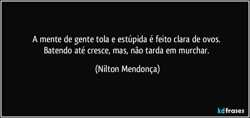 A mente de gente tola e estúpida é feito clara de ovos. 
Batendo até cresce, mas, não tarda em murchar. (Nilton Mendonça)