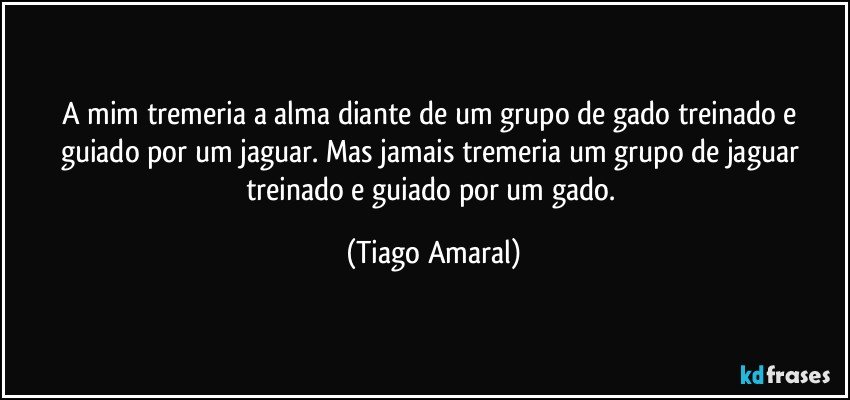 A mim tremeria a alma diante de um grupo de gado treinado e guiado por um jaguar. Mas jamais tremeria um grupo de jaguar treinado e guiado por um gado. (Tiago Amaral)