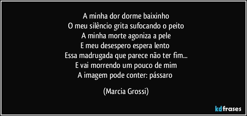 A minha dor dorme baixinho
O meu silêncio grita sufocando o peito
A minha morte agoniza a pele
E meu desespero espera lento 
Essa madrugada que parece não ter fim...
E vai morrendo um pouco de mim
A imagem pode conter: pássaro (Marcia Grossi)