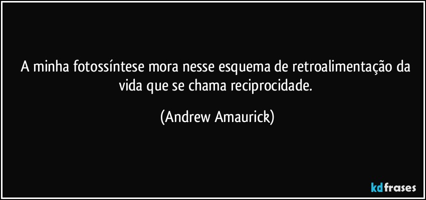 A minha fotossíntese mora nesse esquema de retroalimentação da vida que se chama reciprocidade. (Andrew Amaurick)