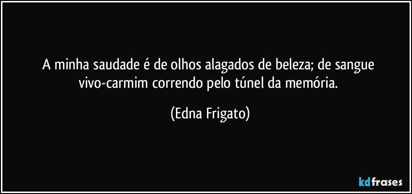 A minha saudade é de olhos alagados de beleza; de sangue vivo-carmim correndo pelo túnel da memória. (Edna Frigato)