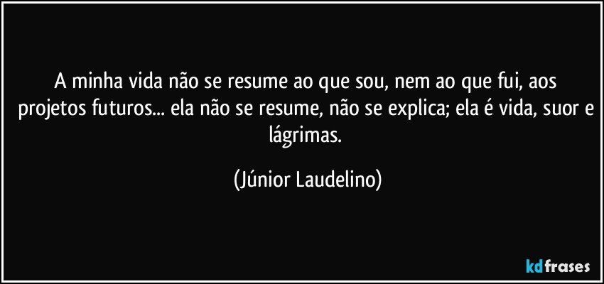 A minha vida não se resume ao que sou, nem ao que fui, aos projetos futuros... ela não se resume, não se explica; ela é vida, suor e lágrimas. (Júnior Laudelino)