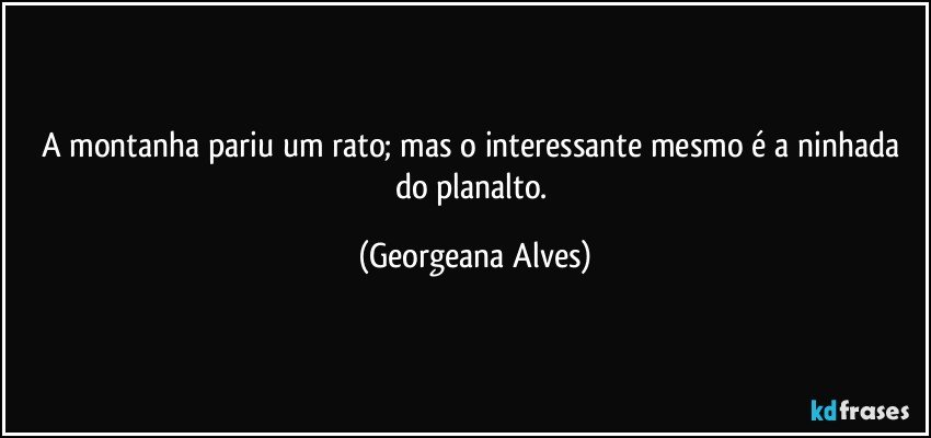 A montanha pariu um rato; mas o interessante mesmo é a ninhada do planalto. (Georgeana Alves)