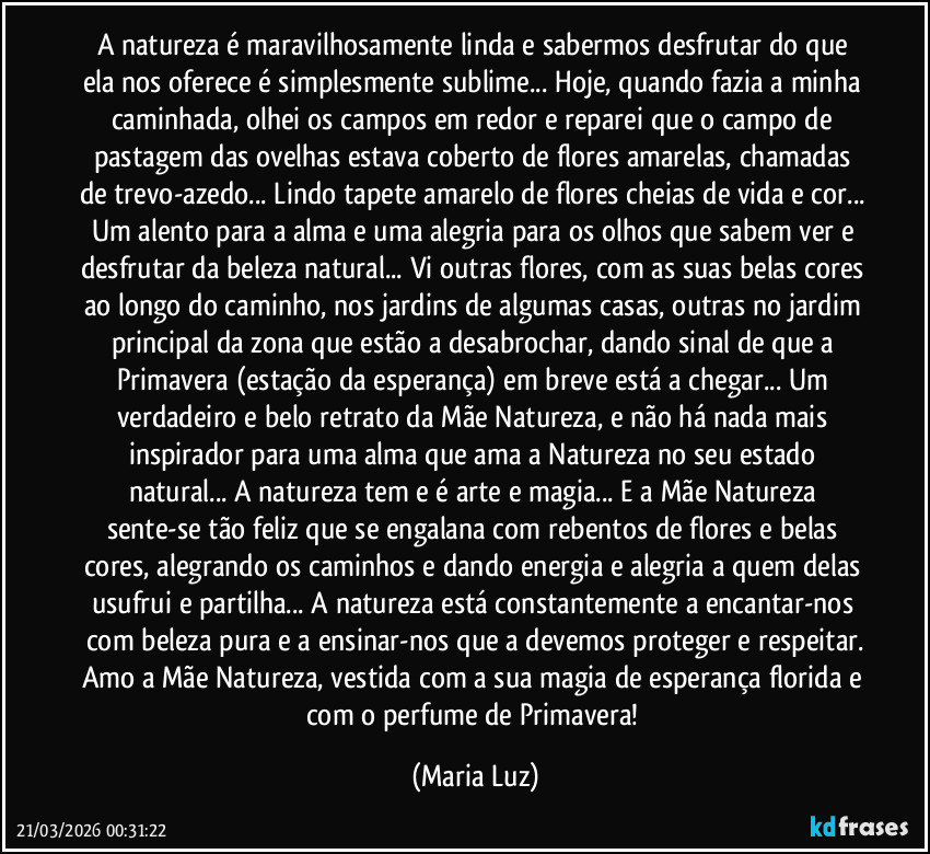 A natureza é maravilhosamente linda e sabermos desfrutar do que ela nos oferece é simplesmente sublime... Hoje, quando fazia a minha caminhada, olhei os campos em redor e reparei que o campo de pastagem das ovelhas estava coberto de flores amarelas, chamadas de trevo-azedo... Lindo tapete amarelo de flores cheias de vida e cor... Um alento para a alma e uma alegria para os olhos que sabem ver e desfrutar da beleza natural... Vi outras flores, com as suas belas cores ao longo do caminho, nos jardins de algumas casas, outras no jardim principal da zona que estão a desabrochar, dando sinal de que a Primavera (estação da esperança) em breve está a chegar... Um verdadeiro e belo retrato da Mãe Natureza, e não há nada mais inspirador para uma alma que ama a Natureza no seu estado natural... A natureza tem e é arte e magia... E a Mãe Natureza sente-se tão feliz que se engalana com rebentos de flores e belas cores, alegrando os caminhos e dando energia e alegria a quem delas usufrui e partilha... A natureza está constantemente a encantar-nos com beleza pura e a ensinar-nos que a devemos proteger e respeitar.
Amo a Mãe Natureza, vestida com a sua magia de esperança florida e com o perfume de Primavera! (Maria Luz)