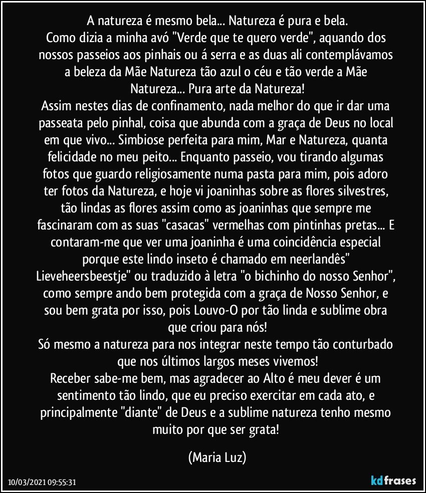 A natureza é mesmo bela... Natureza é pura e bela.
Como dizia a minha avó "Verde que te quero verde", aquando dos nossos passeios aos pinhais ou á serra e as duas ali contemplávamos a beleza da Mãe Natureza tão azul o céu e tão verde a Mãe Natureza... Pura arte da Natureza!
Assim nestes dias de confinamento, nada melhor do que ir dar uma passeata pelo pinhal, coisa que abunda com a graça de Deus no local em que vivo... Simbiose perfeita para mim, Mar e Natureza, quanta felicidade no meu peito... Enquanto passeio, vou tirando algumas fotos que guardo religiosamente numa pasta para mim, pois adoro ter fotos da Natureza, e hoje vi joaninhas sobre as flores silvestres, tão lindas as flores assim como as joaninhas que sempre me fascinaram com as suas "casacas" vermelhas com pintinhas pretas... E contaram-me que ver uma joaninha é uma coincidência especial porque este lindo inseto é chamado em neerlandês" Lieveheersbeestje" ou traduzido à letra "o bichinho do nosso Senhor", como sempre ando bem protegida com a graça de Nosso Senhor, e sou bem grata por isso, pois Louvo-O por tão linda e sublime obra que criou para nós!
Só mesmo a natureza para nos integrar neste tempo tão conturbado que nos últimos largos meses vivemos!
Receber sabe-me bem, mas agradecer ao Alto é meu dever é um sentimento tão lindo, que eu preciso exercitar em cada ato, e principalmente "diante" de Deus e a sublime natureza tenho mesmo muito por que ser grata! (Maria Luz)