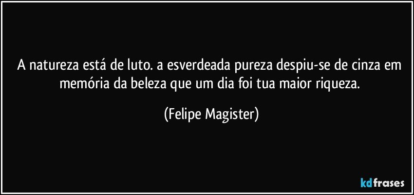 a natureza está de luto. a esverdeada pureza despiu-se de cinza em memória da beleza que um dia foi tua maior riqueza. (Felipe Magister)