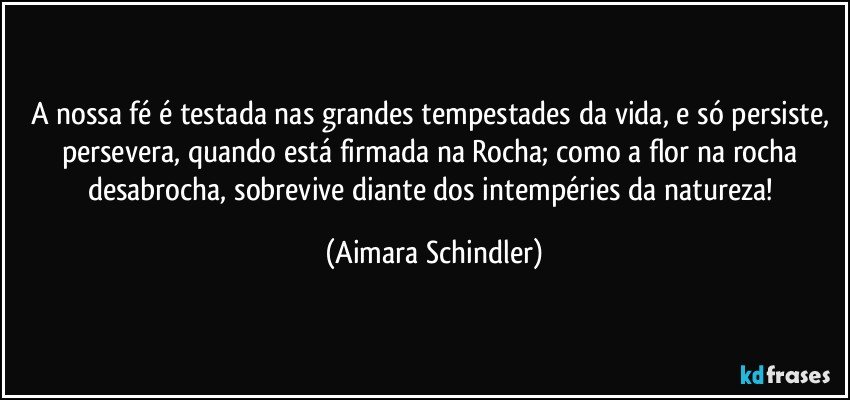 A nossa fé é testada nas grandes tempestades da vida, e só persiste, persevera, quando está firmada na Rocha; como a flor na rocha desabrocha, sobrevive diante dos intempéries da natureza! (Aimara Schindler)