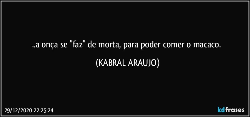 ..a onça se "faz" de morta, para poder comer o macaco. (KABRAL ARAUJO)