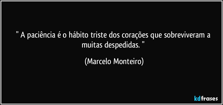 " A paciência é o hábito triste dos corações que sobreviveram a muitas despedidas. " (Marcelo Monteiro)