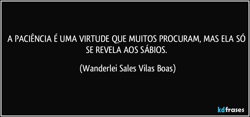 A PACIÊNCIA É UMA VIRTUDE QUE MUITOS PROCURAM, MAS ELA SÓ SE REVELA AOS SÁBIOS. (Wanderlei Sales Vilas Boas)