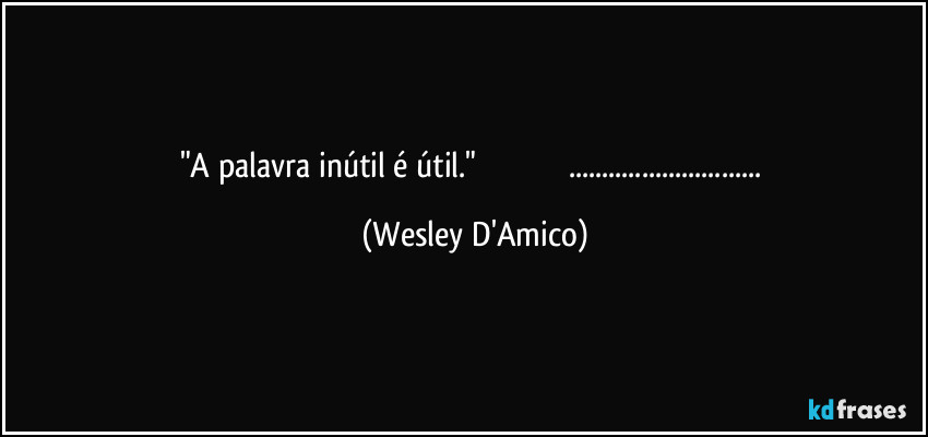 "A palavra inútil é útil."                                         ... (Wesley D'Amico)