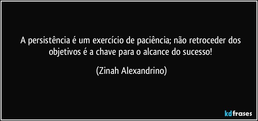 A persistência é um exercício de paciência; não retroceder dos objetivos é a chave para o alcance do sucesso! (Zinah Alexandrino)