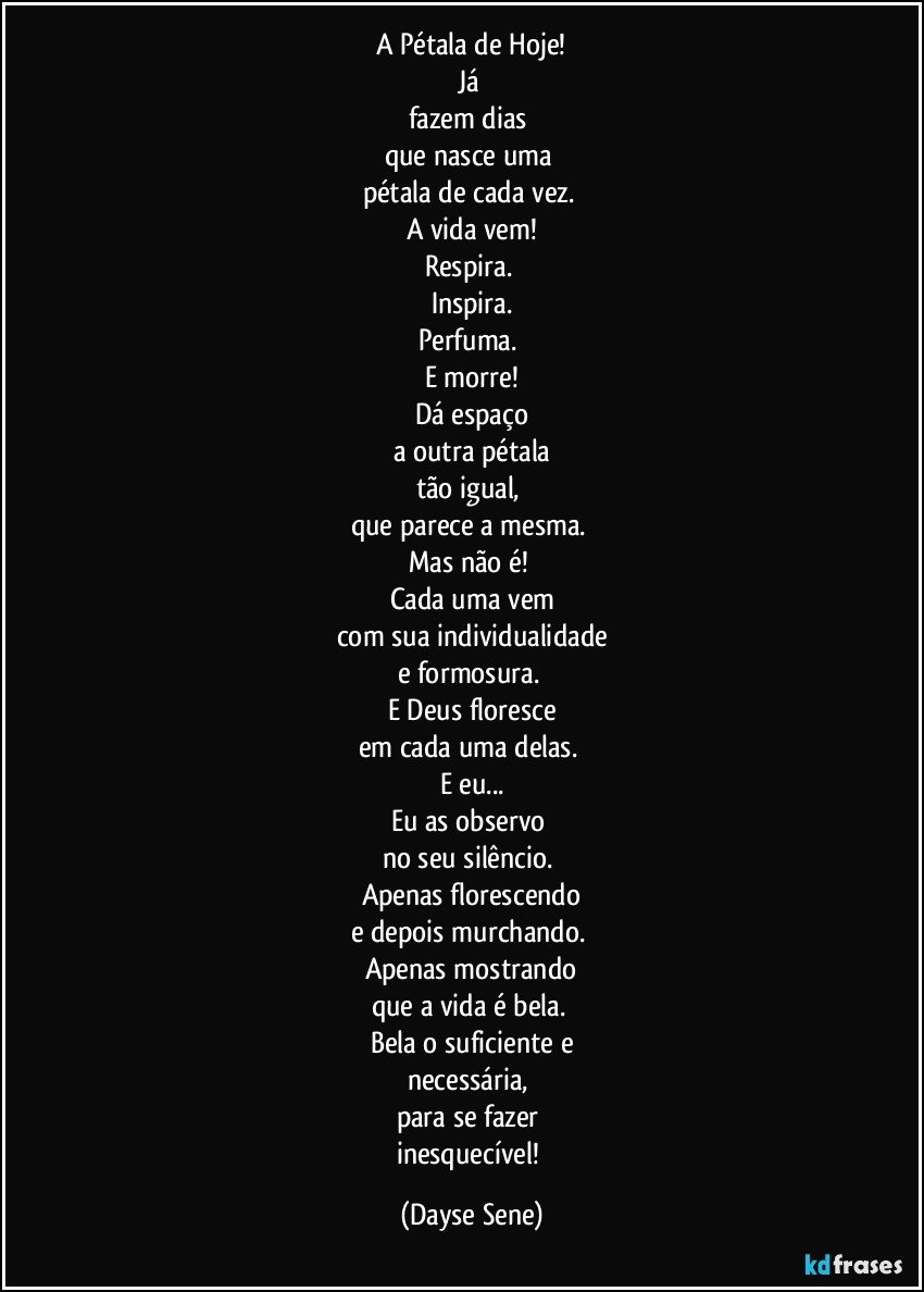 A Pétala de Hoje!
Já 
fazem dias 
que nasce uma 
pétala de cada vez. 
A vida vem!
Respira. 
Inspira.
Perfuma. 
E morre!
Dá espaço
a outra pétala
tão igual, 
que parece a mesma. 
Mas não é! 
Cada uma vem
com sua individualidade
e formosura. 
E Deus floresce
em cada uma delas. 
E eu...
Eu as observo 
no seu silêncio. 
Apenas florescendo
e depois murchando. 
Apenas mostrando
que a vida é bela. 
Bela o suficiente e
necessária, 
para se fazer 
inesquecível! (Dayse Sene)