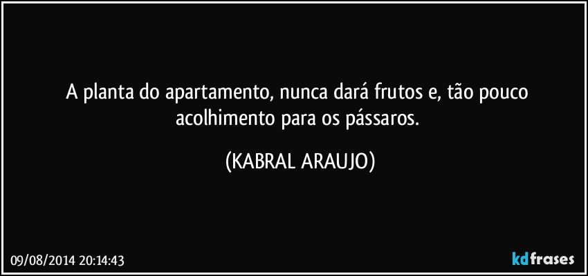 A planta do apartamento, nunca dará frutos e, tão pouco acolhimento para os pássaros. (KABRAL ARAUJO)