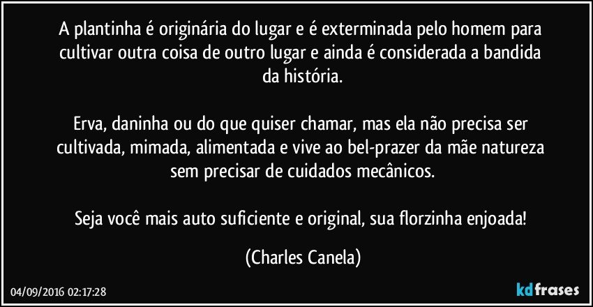 A plantinha é originária do lugar e é exterminada pelo homem para cultivar outra coisa de outro lugar e ainda é considerada a bandida da história.

Erva, daninha ou do que quiser chamar, mas ela não precisa ser cultivada, mimada, alimentada e vive ao bel-prazer da mãe natureza sem precisar de cuidados mecânicos.
 
Seja você mais auto suficiente e original, sua florzinha enjoada! (Charles Canela)