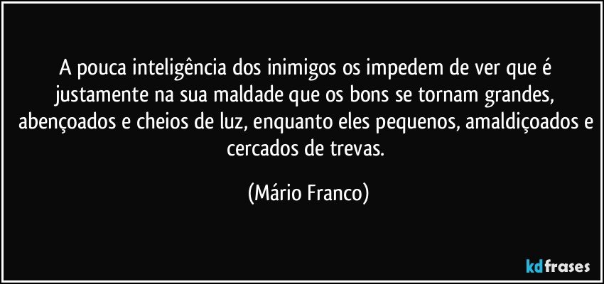 A pouca inteligência dos inimigos os impedem de ver que é justamente na sua maldade que os bons se tornam grandes, abençoados e cheios de luz, enquanto eles pequenos, amaldiçoados e cercados de trevas. (Mário Franco)