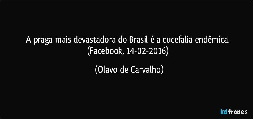 A praga mais devastadora do Brasil é a cucefalia endêmica. (Facebook, 14-02-2016) (Olavo de Carvalho)