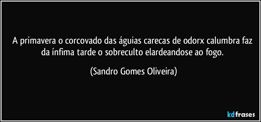 A primavera o corcovado das águias carecas de odorx calumbra faz da ínfima tarde o sobreculto elardeandose ao fogo. (Sandro Gomes Oliveira)