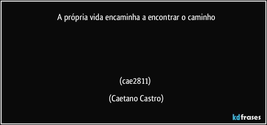 A própria vida encaminha a encontrar o caminho





(cae2811) (Caetano Castro)
