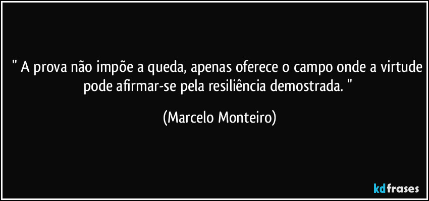 " A prova não impõe a queda, apenas oferece o campo onde a virtude pode afirmar-se pela resiliência demostrada. " (Marcelo Monteiro)