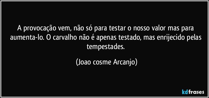 A provocação vem, não só para testar o nosso valor mas para aumenta-lo. O carvalho não é apenas testado, mas enrijecido pelas tempestades. (Joao cosme Arcanjo)