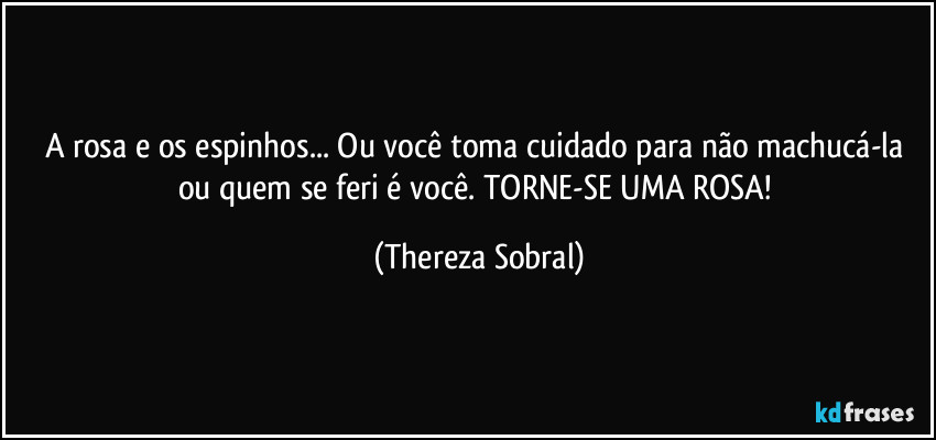 A rosa e os espinhos... Ou você toma cuidado para não machucá-la ou quem se feri é você.  TORNE-SE UMA ROSA! (Thereza Sobral)