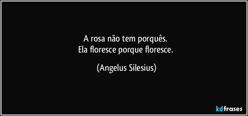 A rosa não tem porquês. 
Ela floresce porque floresce. (Angelus Silesius)