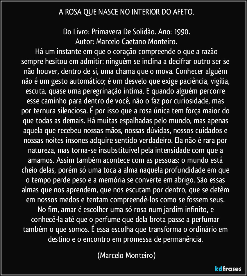 A ROSA QUE NASCE NO INTERIOR DO AFETO.
Do Livro: Primavera De Solidão. Ano: 1990.
Autor: Marcelo Caetano Monteiro.
Há um instante em que o coração compreende o que a razão sempre hesitou em admitir: ninguém se inclina a decifrar outro ser se não houver, dentro de si, uma chama que o mova. Conhecer alguém não é um gesto automático; é um desvelo que exige paciência, vigília, escuta, quase uma peregrinação íntima. E quando alguém percorre esse caminho para dentro de você, não o faz por curiosidade, mas por ternura silenciosa. É por isso que a rosa única tem força maior do que todas as demais. Há muitas espalhadas pelo mundo, mas apenas aquela que recebeu nossas mãos, nossas dúvidas, nossos cuidados e nossas noites insones adquire sentido verdadeiro. Ela não é rara por natureza, mas torna-se insubstituível pela intensidade com que a amamos. Assim também acontece com as pessoas: o mundo está cheio delas, porém só uma toca a alma naquela profundidade em que o tempo perde peso e a memória se converte em abrigo. São essas almas que nos aprendem, que nos escutam por dentro, que se detêm em nossos medos e tentam compreendê-los como se fossem seus. No fim, amar é escolher uma só rosa num jardim infinito, e conhecê-la até que o perfume que dela brota passe a perfumar também o que somos. É essa escolha que transforma o ordinário em destino e o encontro em promessa de permanência. (Marcelo Monteiro)