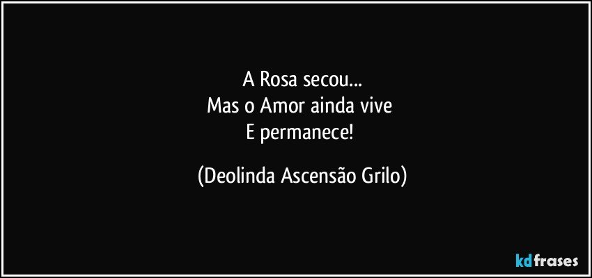 A Rosa secou...
Mas o Amor ainda vive 
E permanece! (Deolinda Ascensão Grilo)