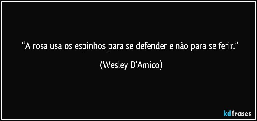 “A rosa usa os espinhos para se defender e não para se ferir.” (Wesley D'Amico)