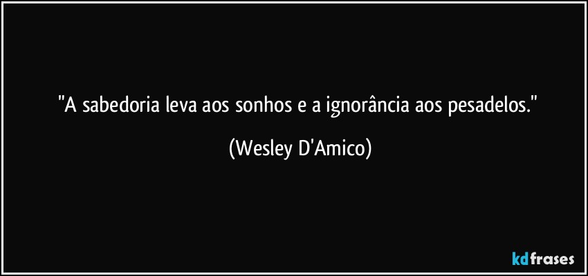 "A sabedoria leva aos sonhos e a ignorância aos pesadelos." (Wesley D'Amico)