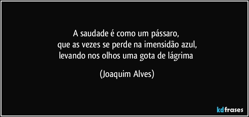 A saudade é como um pássaro, 
que as vezes se perde na imensidão azul,
levando nos olhos uma gota de lágrima (Joaquim Alves)