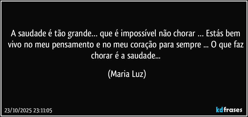 A saudade é tão grande… que é impossível não chorar … Estás bem vivo no meu pensamento e no meu coração para sempre ... O que faz chorar é a saudade... (Maria Luz)