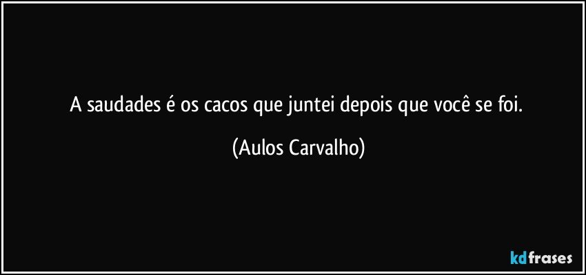 A saudades é os cacos que juntei depois que você se foi. (Aulos Carvalho)