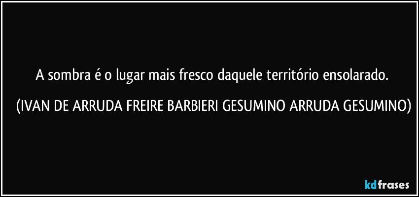 A sombra é o lugar mais fresco daquele território ensolarado. (IVAN DE ARRUDA FREIRE BARBIERI GESUMINO ARRUDA GESUMINO)